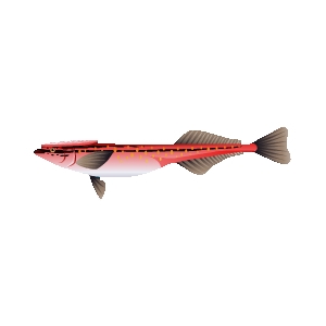 Berry Marlin Sucker